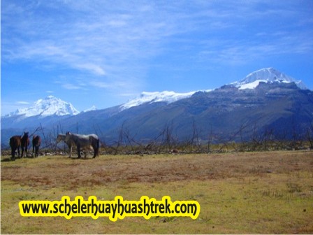 Huascarán, Hualcán y Copa